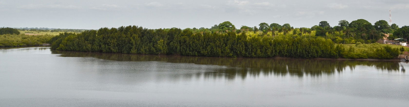 A river in Guinea-Bissau