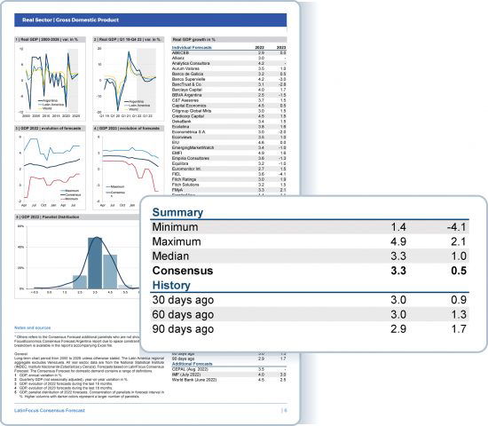 pages from focuseconomics report