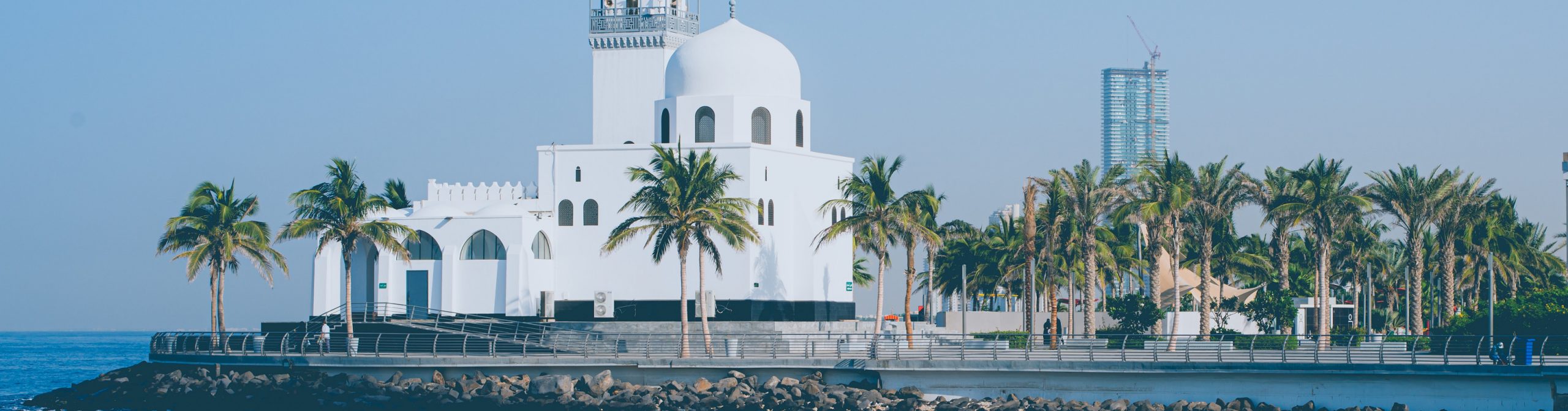 Palm trees and buildings in Saudi Arabia