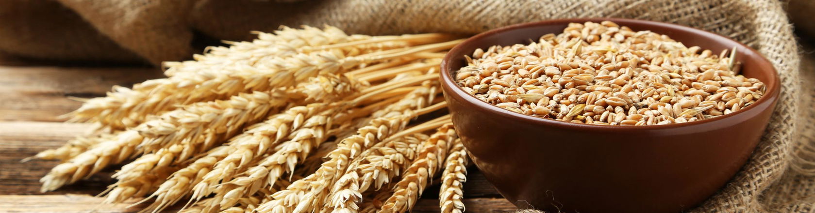 Bowl filled with wheat beans on a rustic wooden table. Bowl is on right side and on left side there are a couple wheat ears.