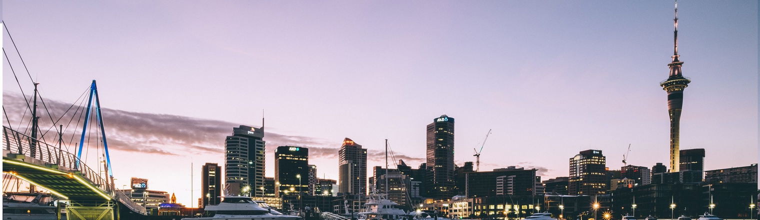 New Zealand skyline