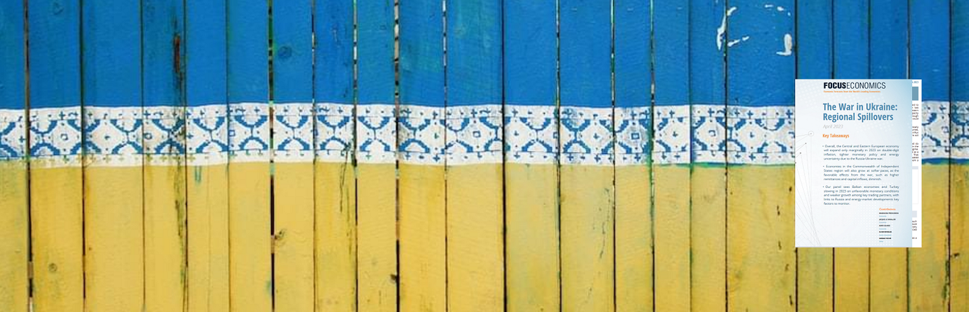 Ukraine report cover