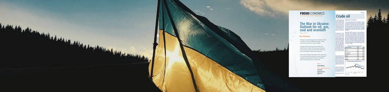 Ukraine flag with a FocusEconomics report cover one it