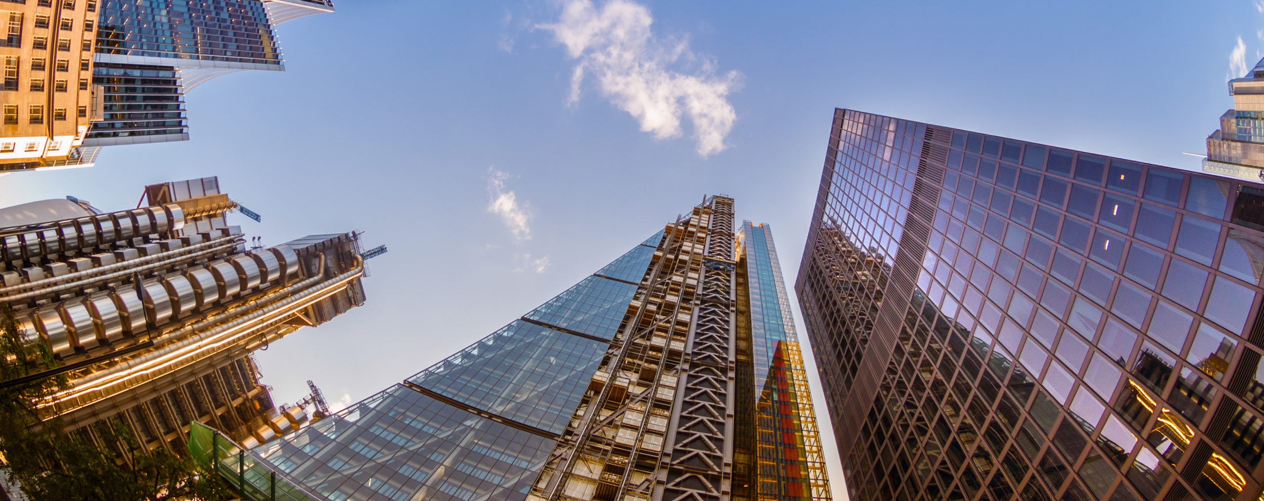 view of skyscrapers from below