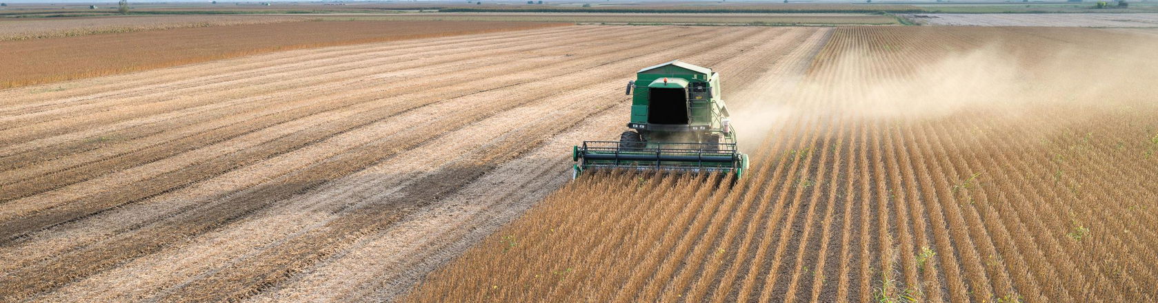 Green tractor in a wheat field