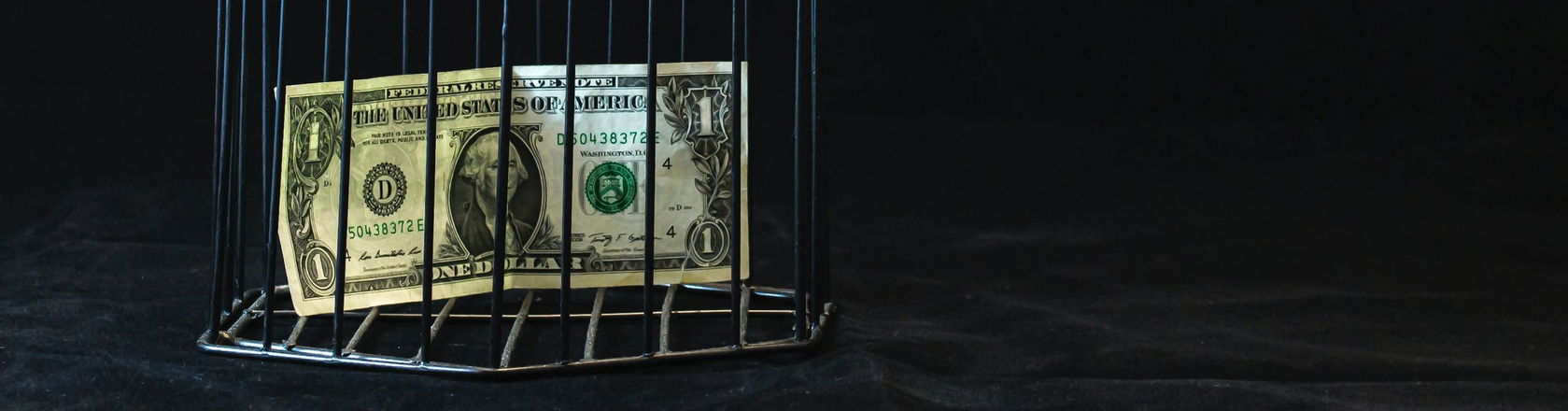 Money in a cage