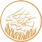 Los bancos centrales del mundo